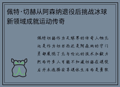 佩特·切赫从阿森纳退役后挑战冰球新领域成就运动传奇