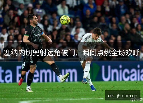 塞纳内切兜射远角破门，瞬间点燃全场欢呼