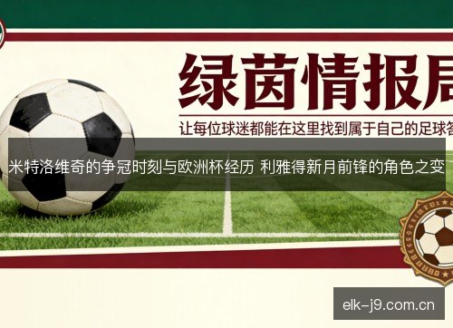 米特洛维奇的争冠时刻与欧洲杯经历 利雅得新月前锋的角色之变